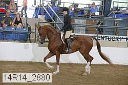 14r14_2880 proof