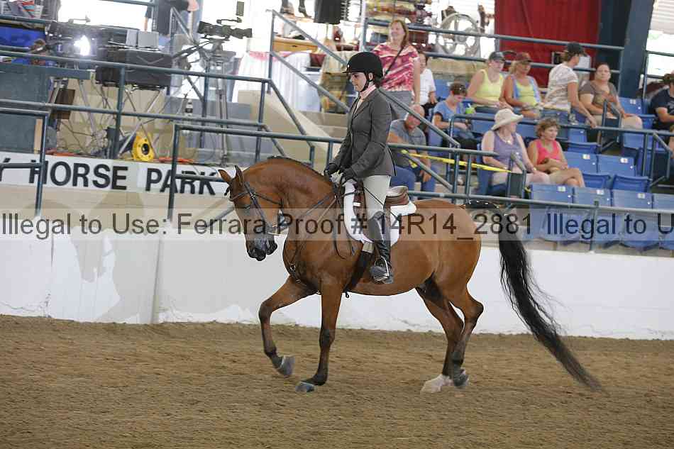 Proof 14r14_2881