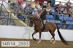14r14_2883 proof