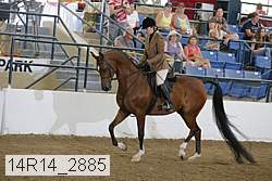14r14_2885 proof