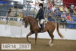 14r14_2887 proof