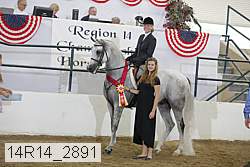 14r14_2891 proof