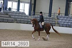 14r14_2893 proof