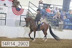 14r14_2902 proof