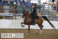 14r14_2928 proof