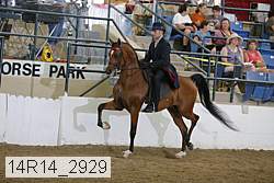 14r14_2929 proof