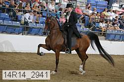 14r14_2941 proof
