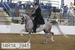 14r14_2945 proof