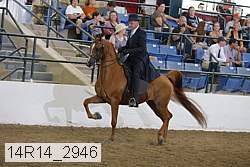 14r14_2946 proof
