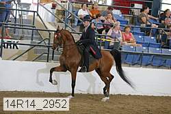 14r14_2952 proof