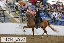 14r14_2953 proof