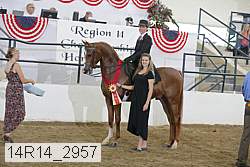 14r14_2957 proof