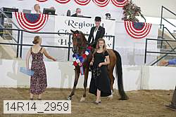 14r14_2959 proof