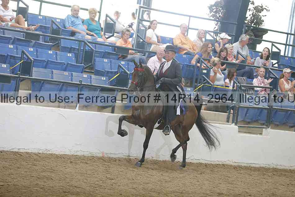 Proof 14r14_2964
