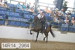 14r14_2964 proof