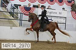14r14_2970 proof