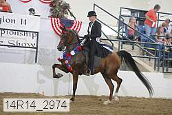14r14_2974 proof