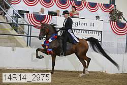 14r14_2975 proof
