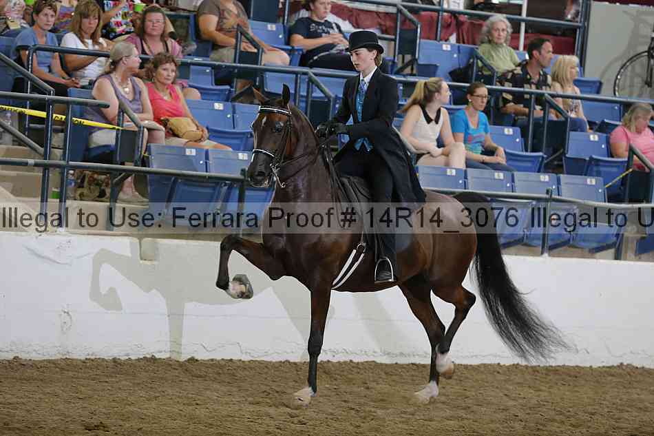 Proof 14r14_3076