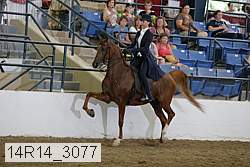 14r14_3077 proof
