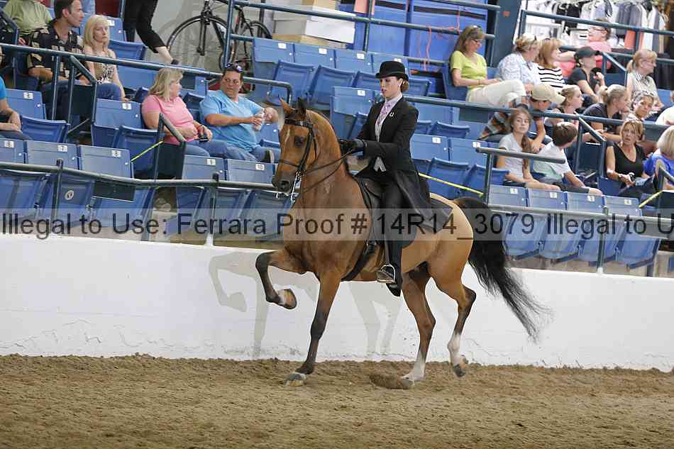 Proof 14r14_3079