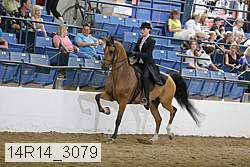 14r14_3079 proof