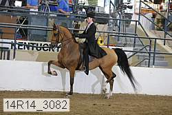 14r14_3082 proof