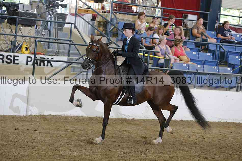 Proof 14r14_3083