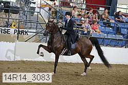 14r14_3083 proof