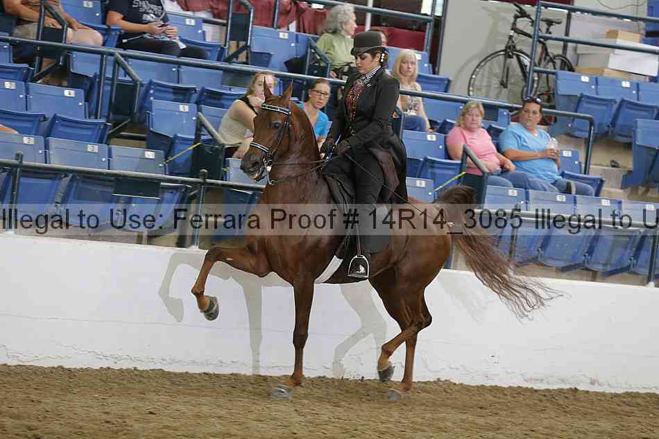 Proof 14r14_3085