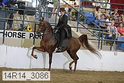14r14_3086 proof