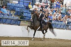 14r14_3087 proof