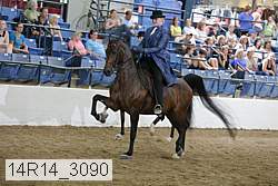 14r14_3090 proof
