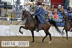 14r14_3091 proof