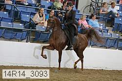 14r14_3093 proof