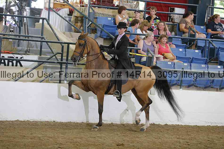 Proof 14r14_3095