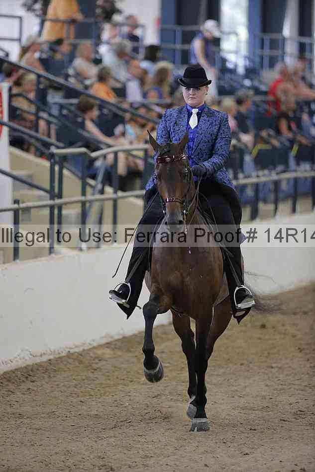 Proof 14r14_3097