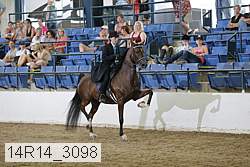 14r14_3098 proof