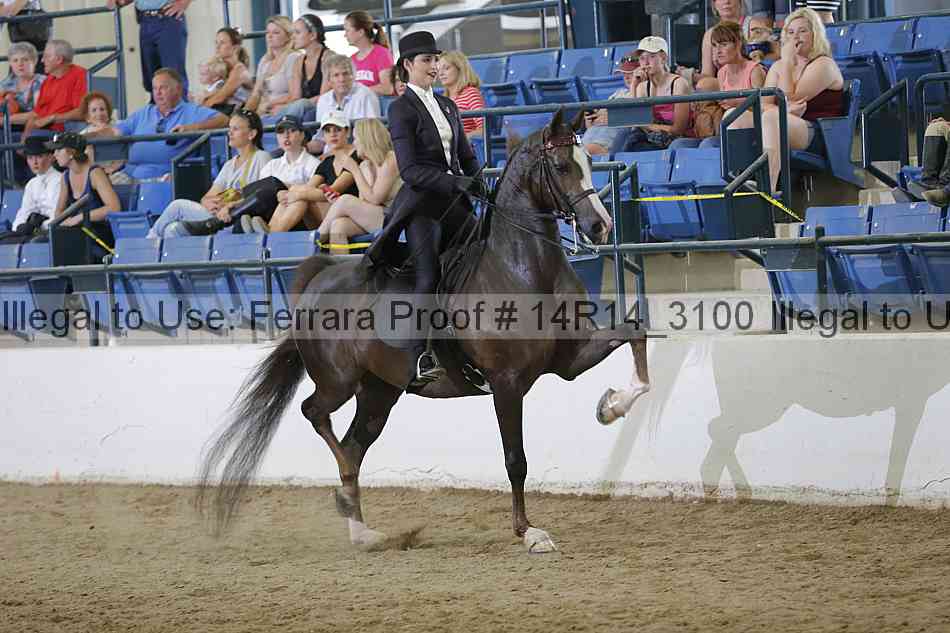 Proof 14r14_3100