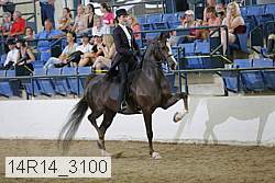 14r14_3100 proof