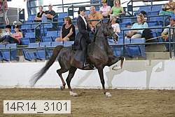 14r14_3101 proof
