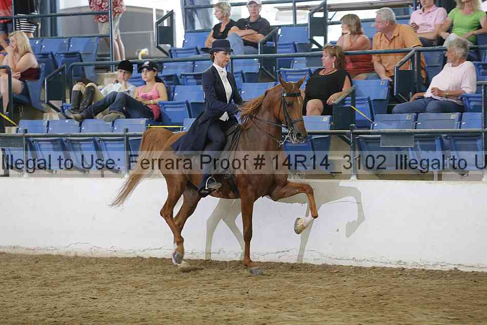 Proof 14r14_3102
