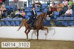 14r14_3102 proof