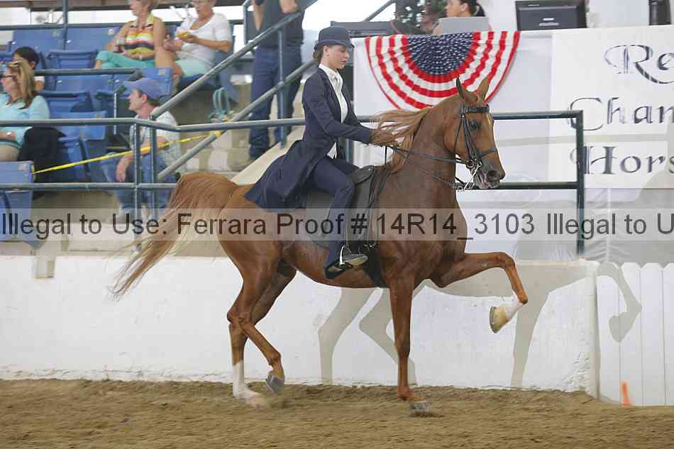 Proof 14r14_3103