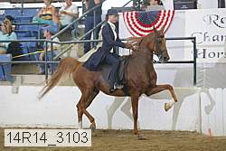 14r14_3103 proof