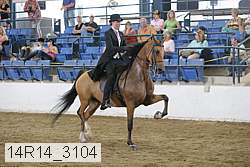 14r14_3104 proof
