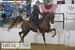 14r14_3106 proof