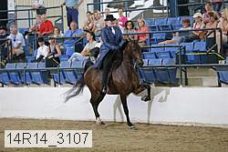 14r14_3107 proof