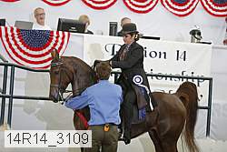 14r14_3109 proof