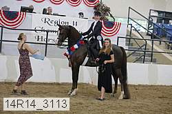 14r14_3113 proof